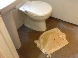 Leaking Toilet Alberton